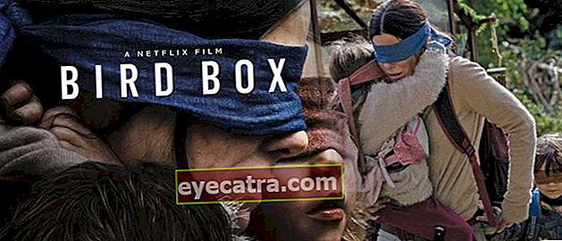Nézd meg a Film Bird Box (2018) filmet Amikor a látás tabuvá válik